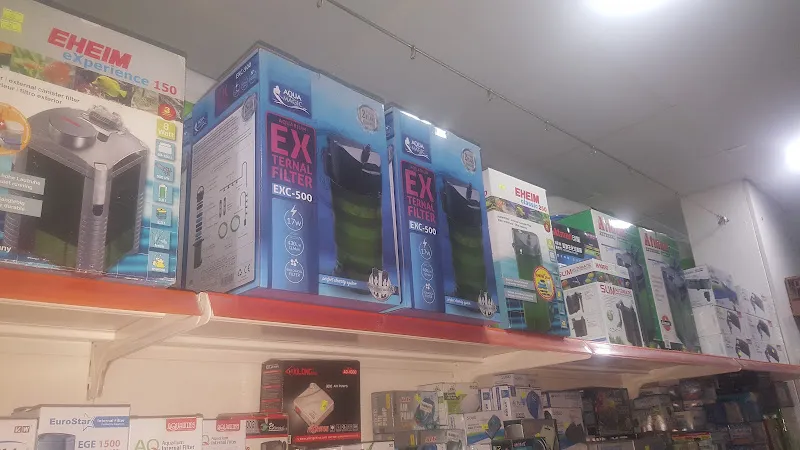 Egzotik Pet Shop Çerkezköy foto 2