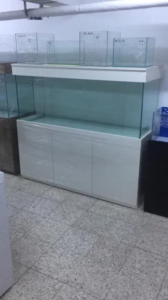 Bornova Akvaryum foto 2