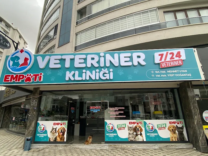 Empati Afyon Veteriner Kliniği 7/24 foto 1