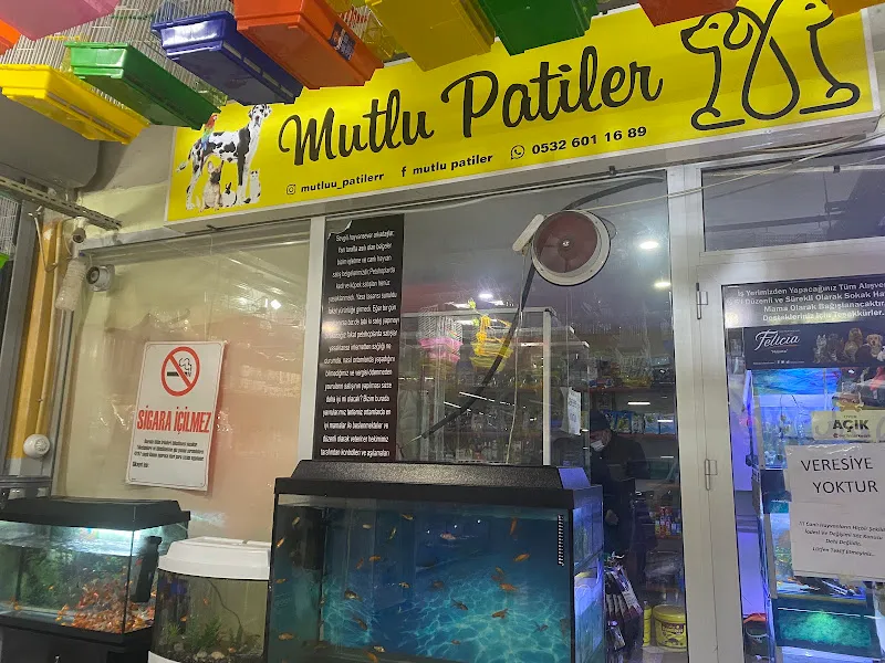 Muğla Petshop foto 2