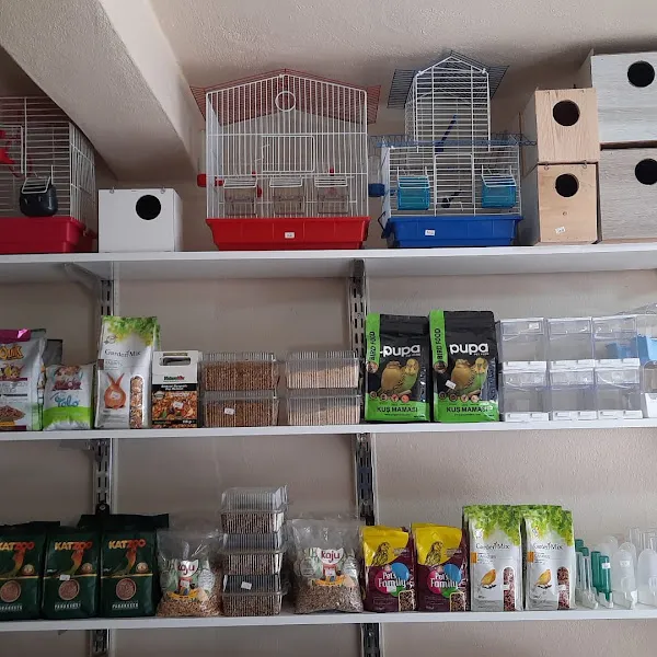 Petshop foto 2