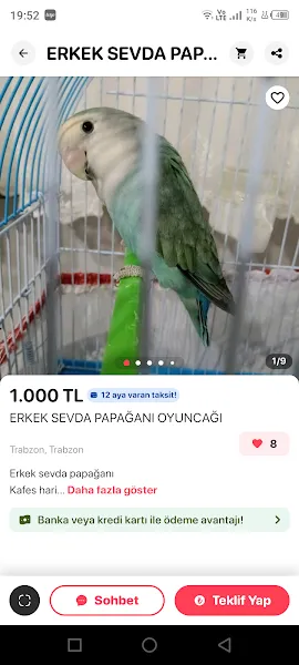 Bedirhan petshop foto 2