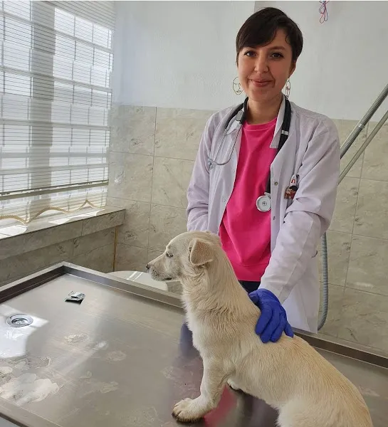 Pati Pati Veteriner Kliniği foto 1
