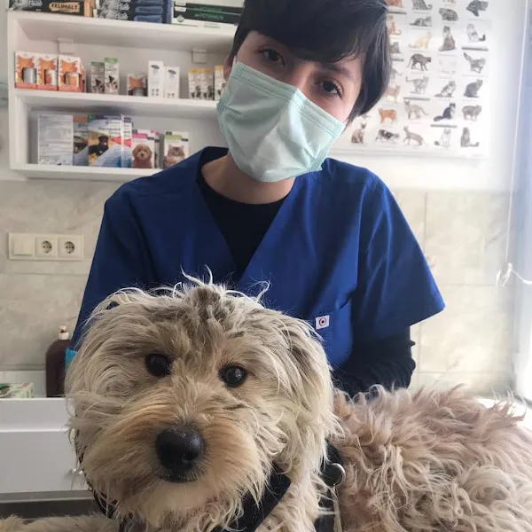 Pati Pati Veteriner Kliniği foto 2