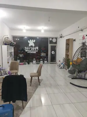 Bingöl Pinki Vet Veteriner Kliniği