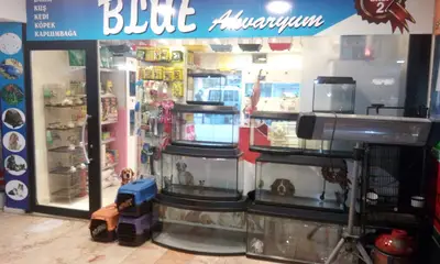 Blue Petshop