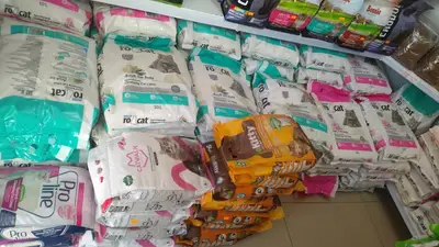 Ataşehir Let's Go! Petshop │ Royal Canin │ Pro Plan │ Kedi Kumu │ Açık Kedi Maması ◄ İnönü ◄ Kayışdağı ◄ Küçükbakkalköy