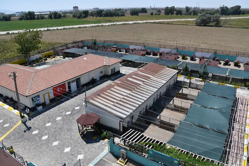 Aksaray Belediyesi Hayvan Barınağı foto 1