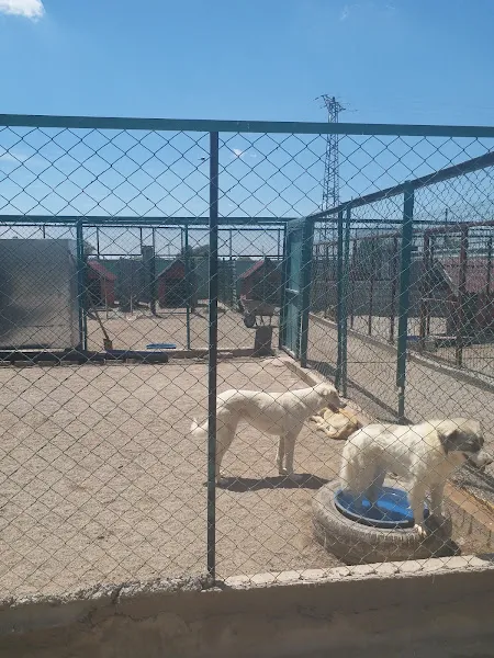 Aksaray Belediyesi Hayvan Barınağı foto 2