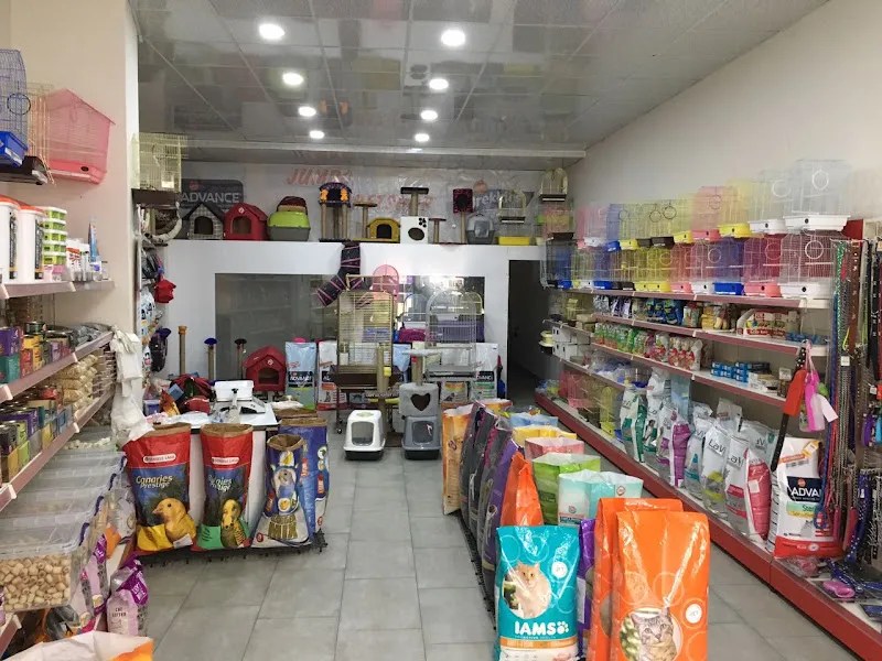 jumbo petshop foto 2