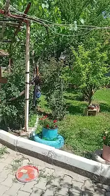 BATTAL KÖPEK VE LAVANTA ÇİFTLİĞİ