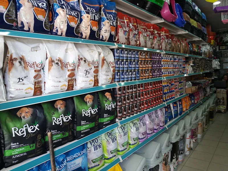 Güven Akvaryum Pet Shop foto 2