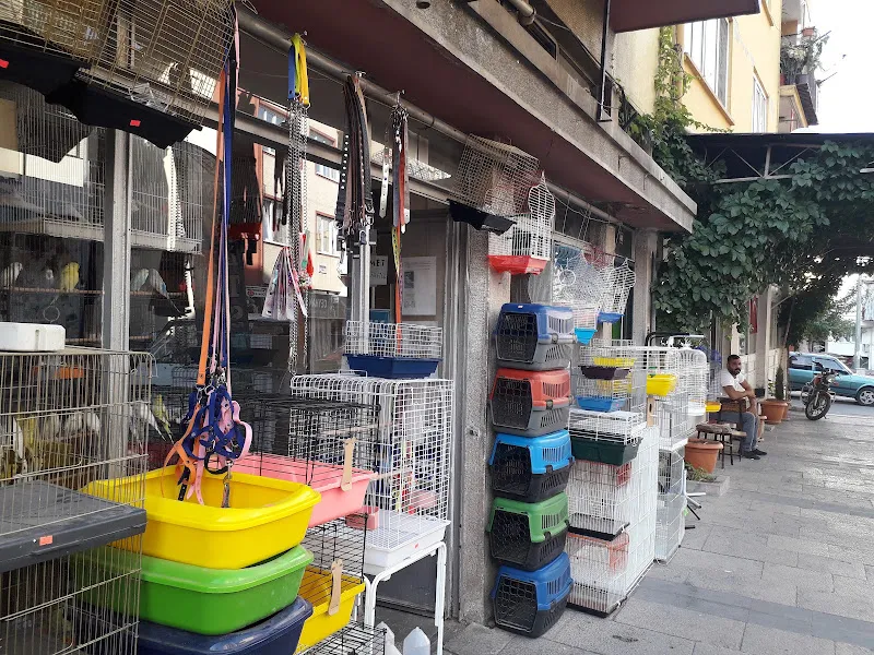 Amazon Akvaryum foto 2
