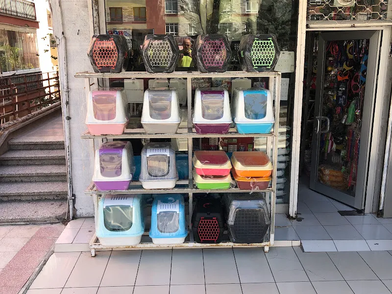 Eylül Pet Shop foto 2