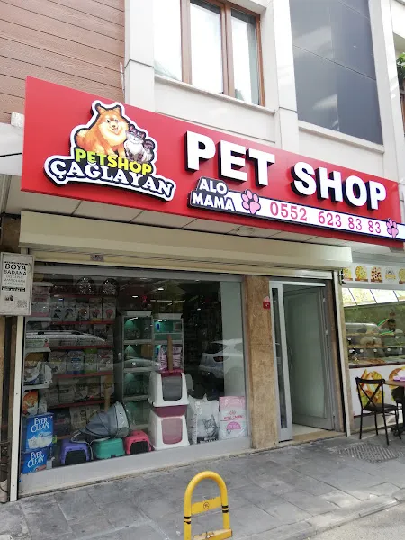 Çağlayan Petshop foto 1