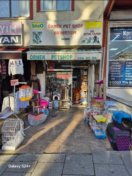 Örnek Petshop & Akvaryum foto 1