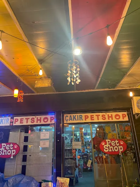 ÇAKIR PETSHOP foto 2