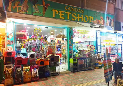 CANDAŞ PETSHOP