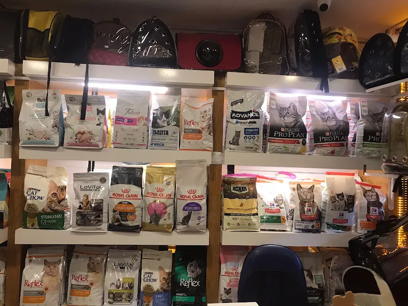 Can dostlar pet shop foto 2