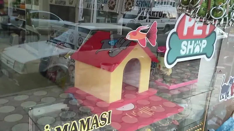 Şarkışla | Sevimli Dostlar Petshop | Akvaryum & Kuş Dünyası foto 2