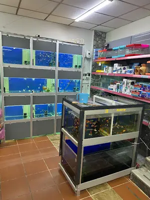 Aymia Petshop
