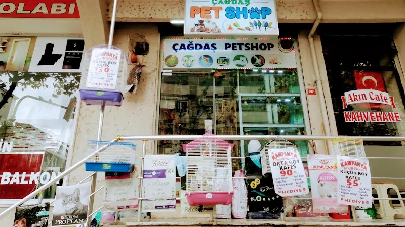 Çağdaş Petshop foto 2