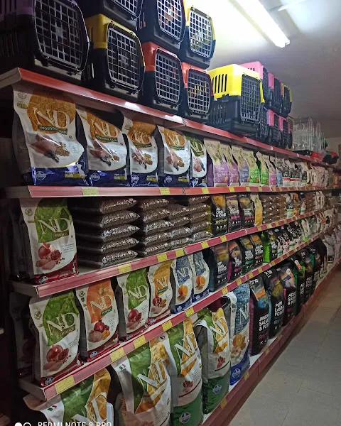 Gümbet Petshop foto 2