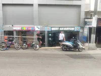 mert petshop
