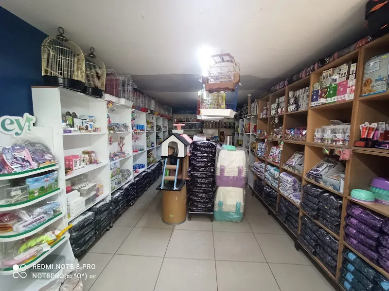mert petshop foto 2