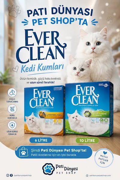 Pati Dünyası Petshop foto 2