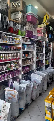 Anka pet Shop