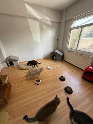 Yalova Yaşam Pet Otel