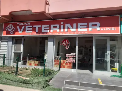 Kaynarca Truva Veteriner Kliniği