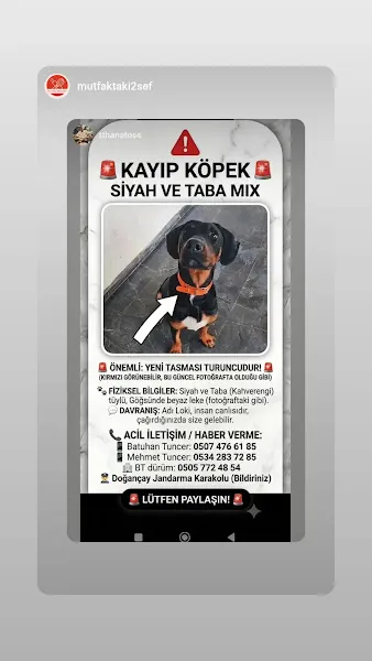 Sapanca Hayvan Barınağı foto 2