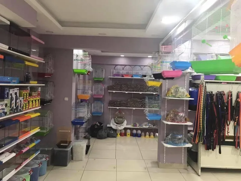 Elit Petshop Samsun/Bafra foto 2