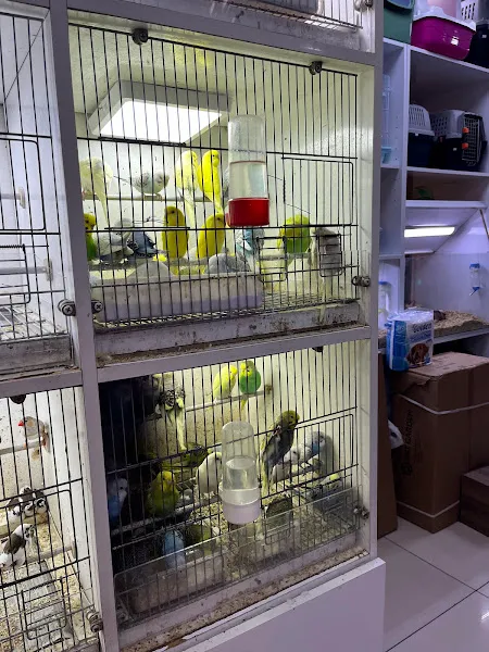 Optimum TOYASU Petshop foto 1