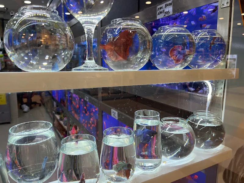 Optimum TOYASU Petshop foto 2