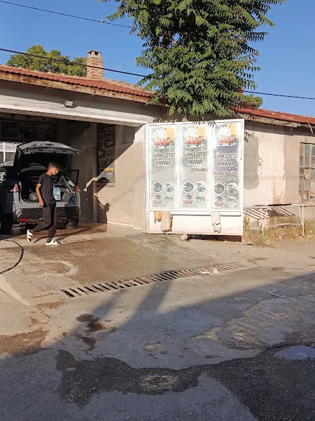 Veteriner Hekim İsmail Arı foto 1