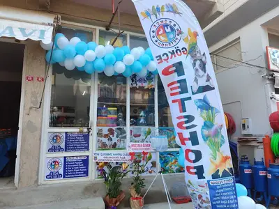 Gökçe Petshop