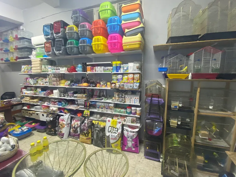 Gökçe Petshop foto 2