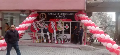 Ayyıldız Veteriner Kliniği Gölmarmara