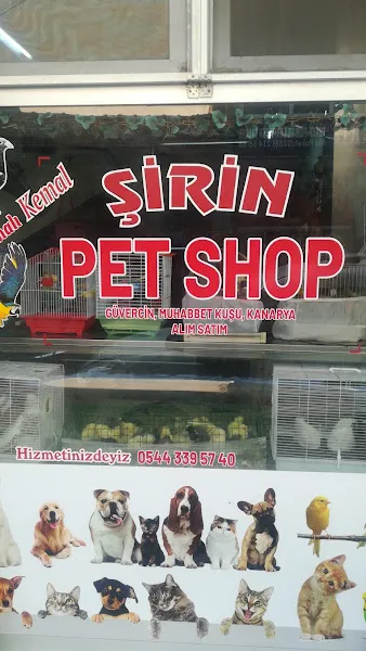 Şirin petshop foto 1