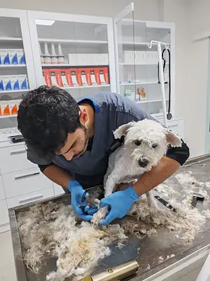 Kurtuluş Veteriner Kliniği