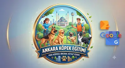 Ankara Köpek Eğitimi fotoğrafı