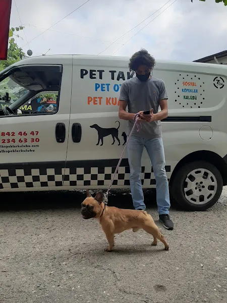 Pet Taksi Sosyal Köpekler Kulübü foto 2