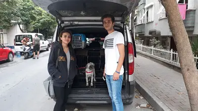 Çınar Pet Taksi fotoğrafı