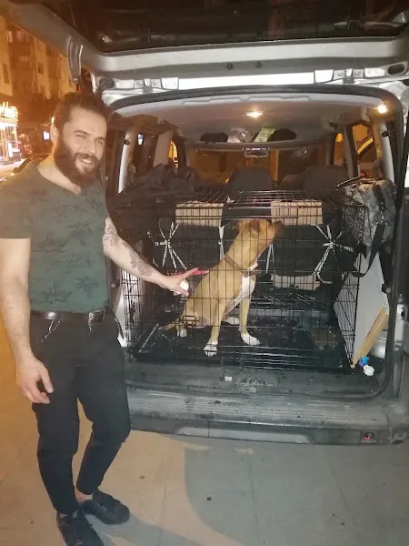 Çınar Pet Taksi foto 2