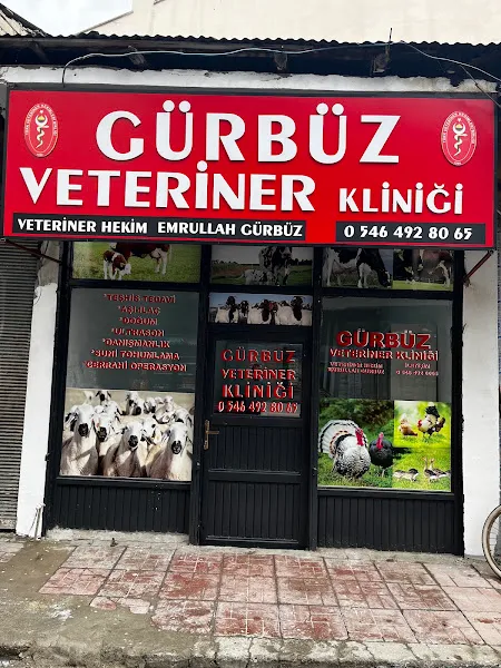 Gürbüz veteriner Kliniği foto 1