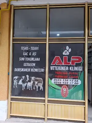 ALP VETERİNER KLİNİĞİ