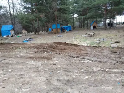 Şebinkarahisar Hayvan Besleme Noktası